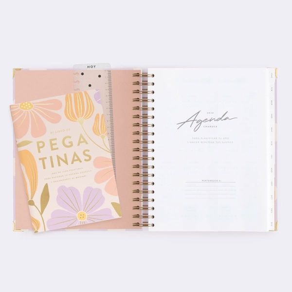 AGENDA DIARIA 2024 LILA GRANDE (JUMBO) ANUAL