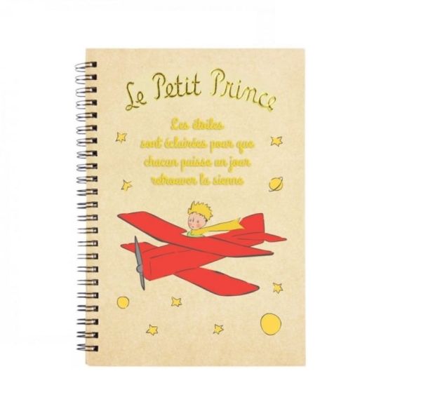 CUADERNO ANILLAS A5 EL PRINCIPITO AVION RELIEVE Y BRILLO