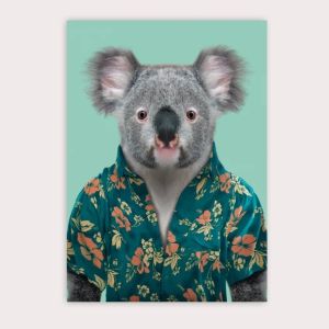 POSTAL ZOO PORTRAITS KOALA