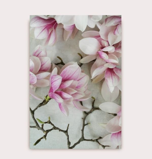 POSTAL ALICIA BOCK MAGNOLIA FLOWER