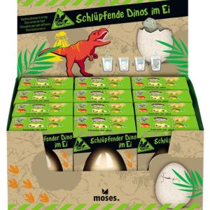 HUEVO DE DINOSAURIO