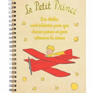 CUADERNO ANILLAS EL PRINCIPITO AVION