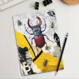 CUADERNO BUGS