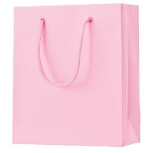 BOLSA MEDIANA ROSA LISA