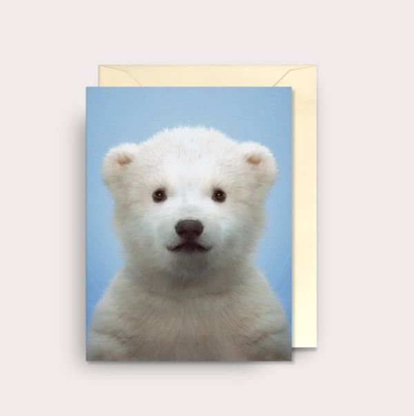 FELICITACION ZOO PORTRAITS POLAR BEAR