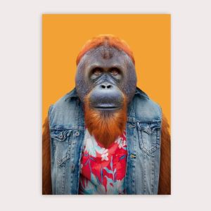 POSTAL BORNEAN ORANGUTAN