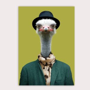 POSTAL ZOO PORTRAIT OSTRICH