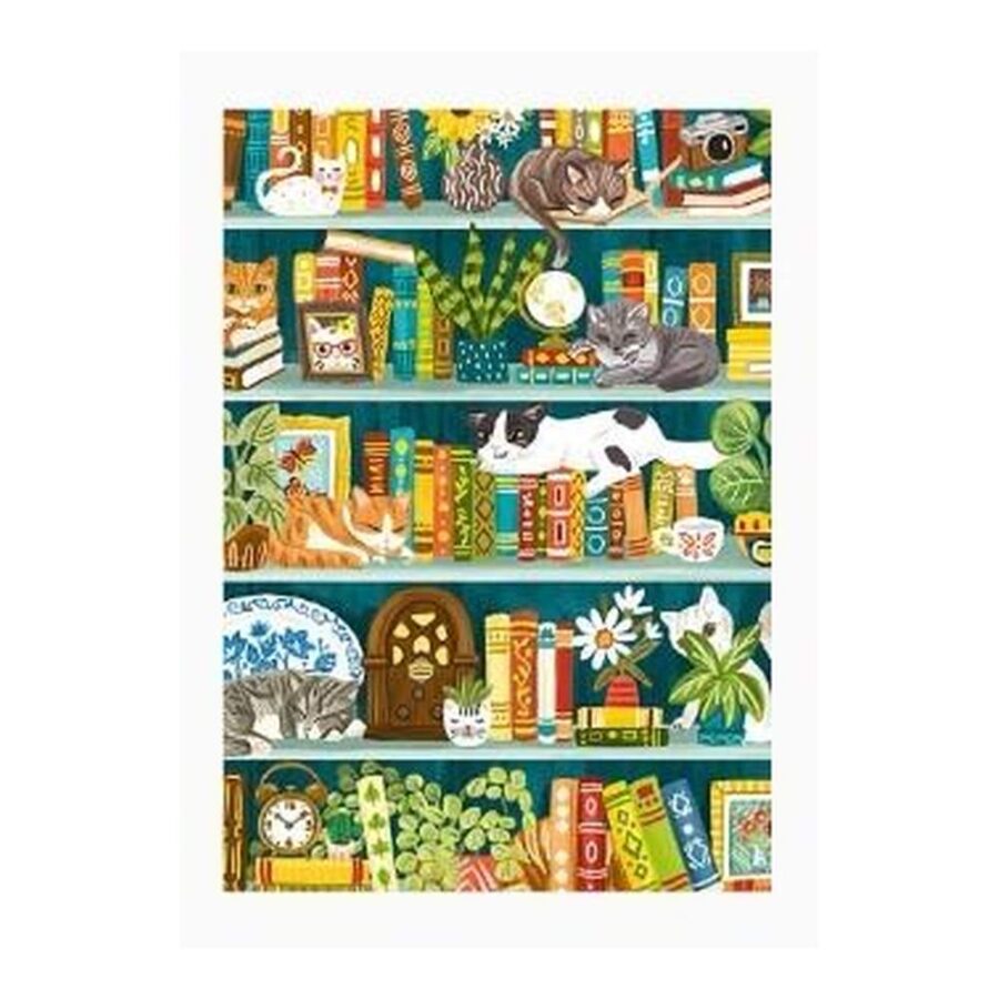 Cuaderno A6 Gatos Biblioteca