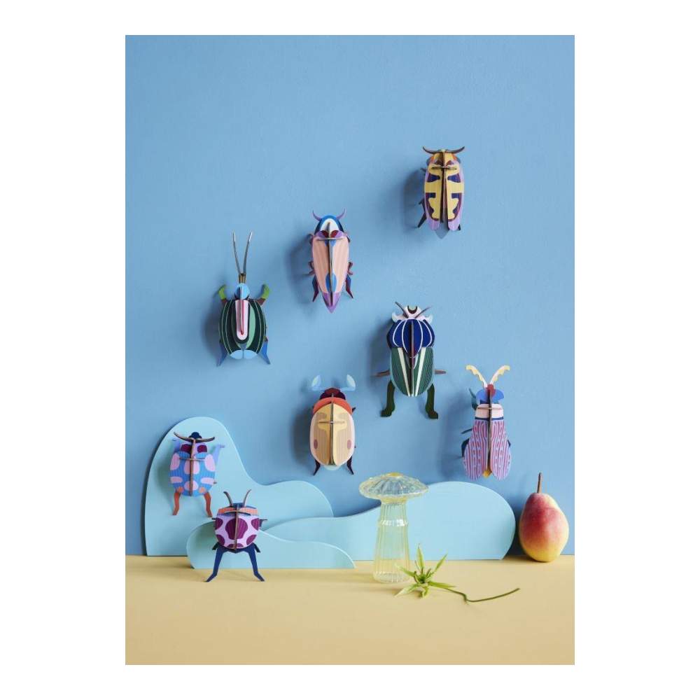 Escarabajo Violeta Click - Tamaño S