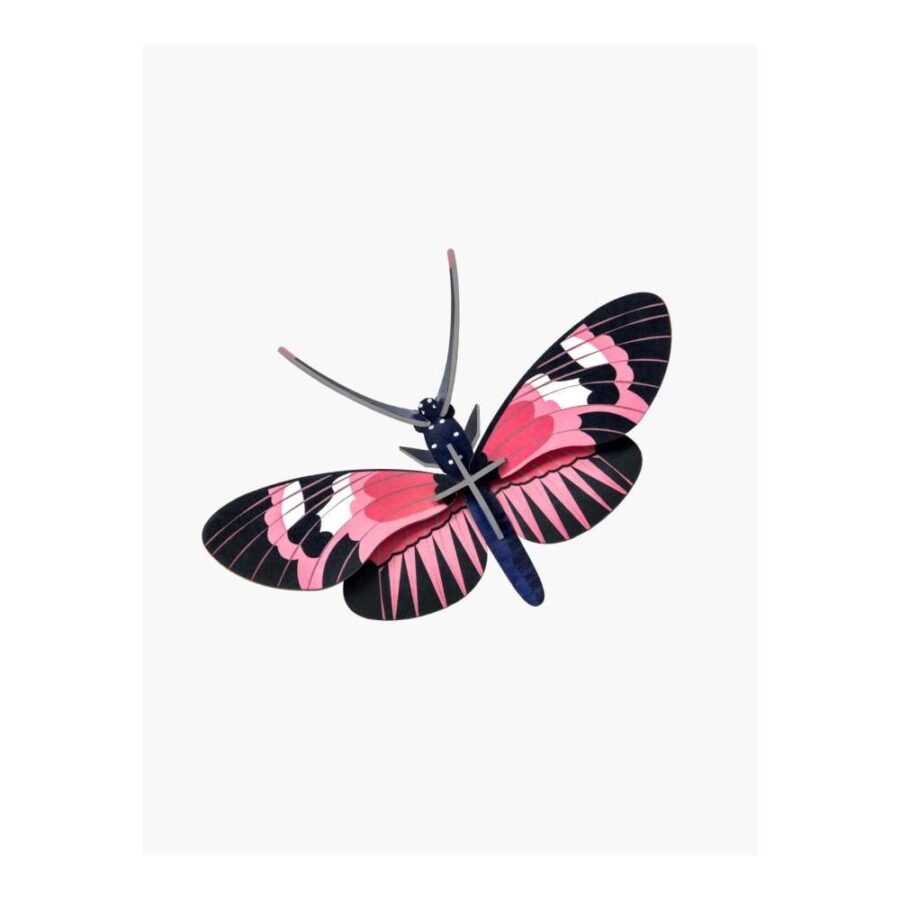 Mariposa Ala Larga - Tamaño S