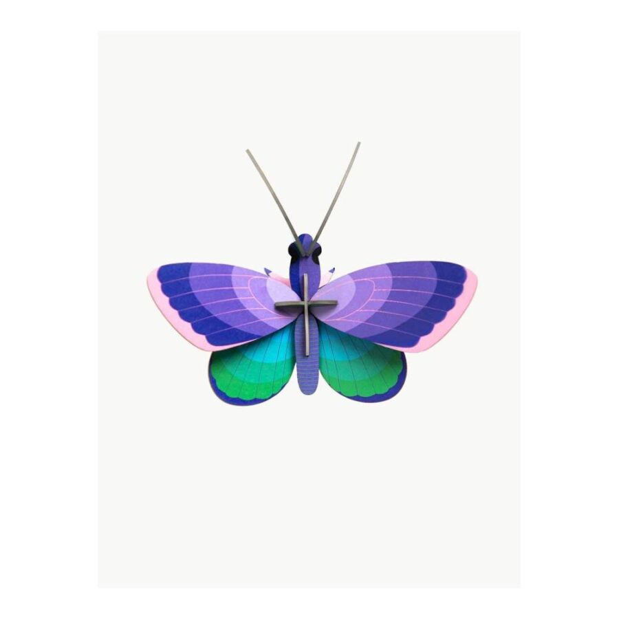 Mariposa Azul Cobre - Tamaño S
