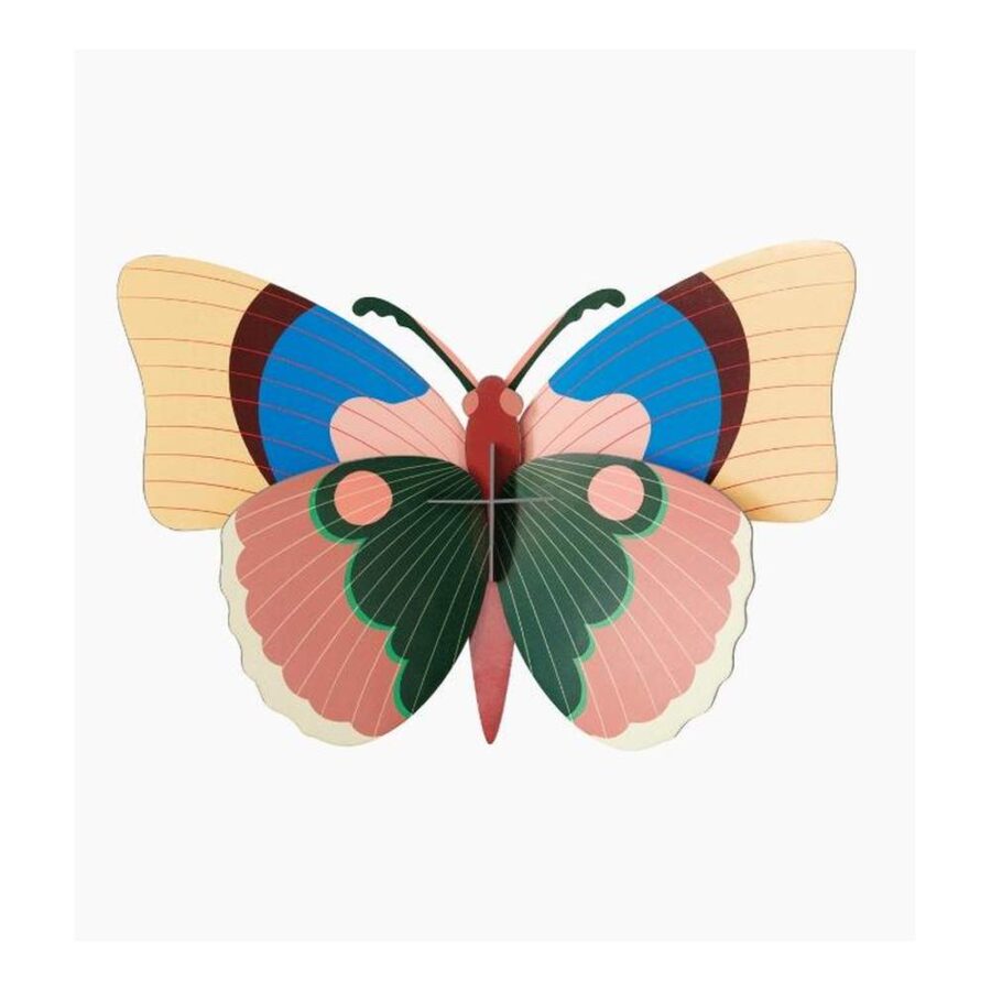 Mariposa Cepora - Tamaño L