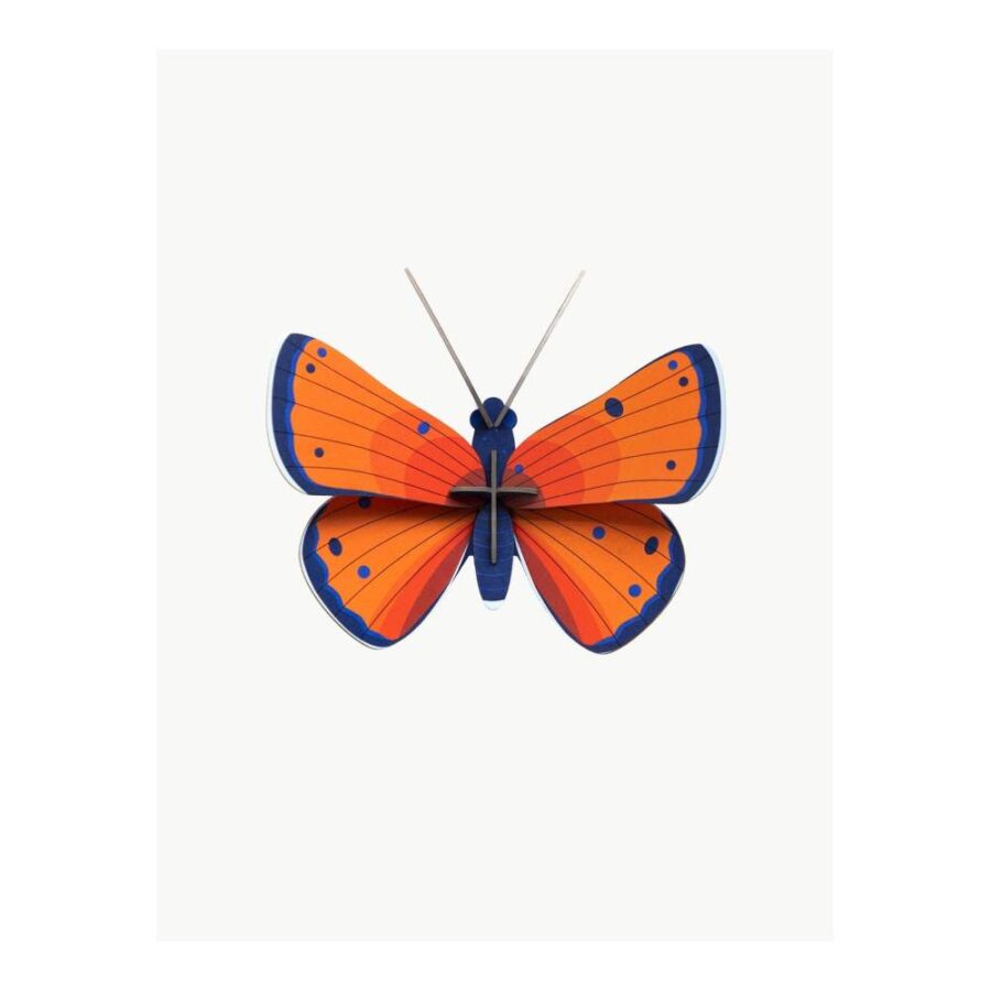 Mariposa Cobre - Tamaño S