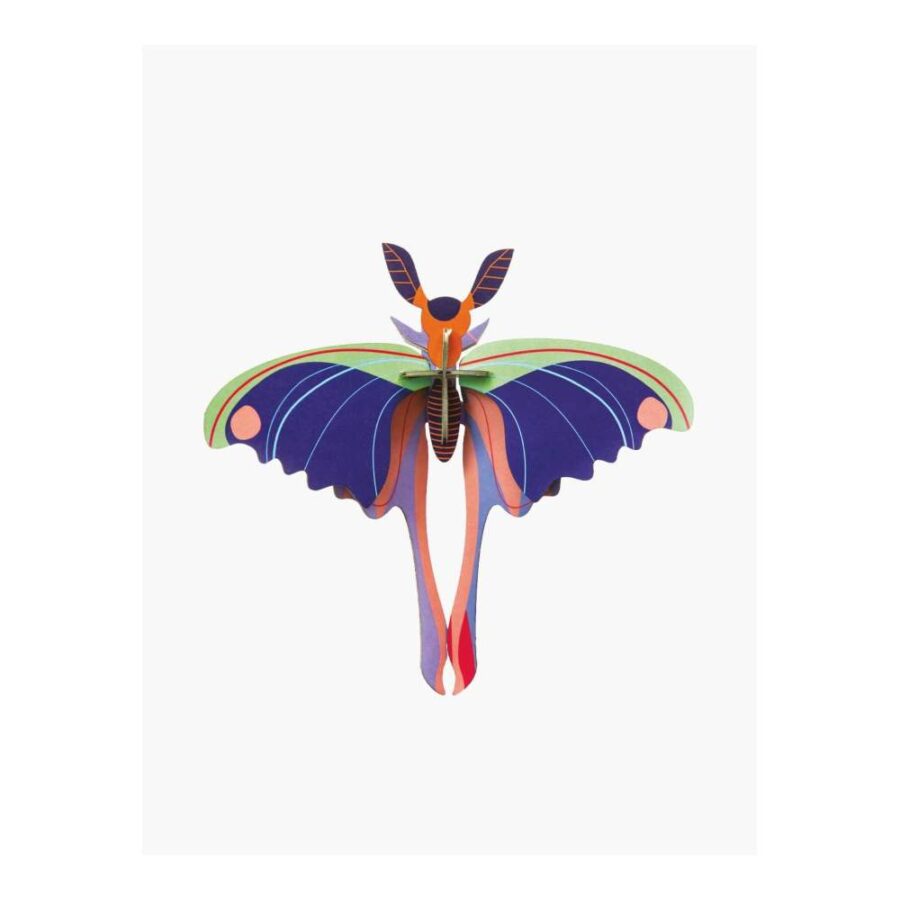 Mariposa Cometa Azul - Tamaño S