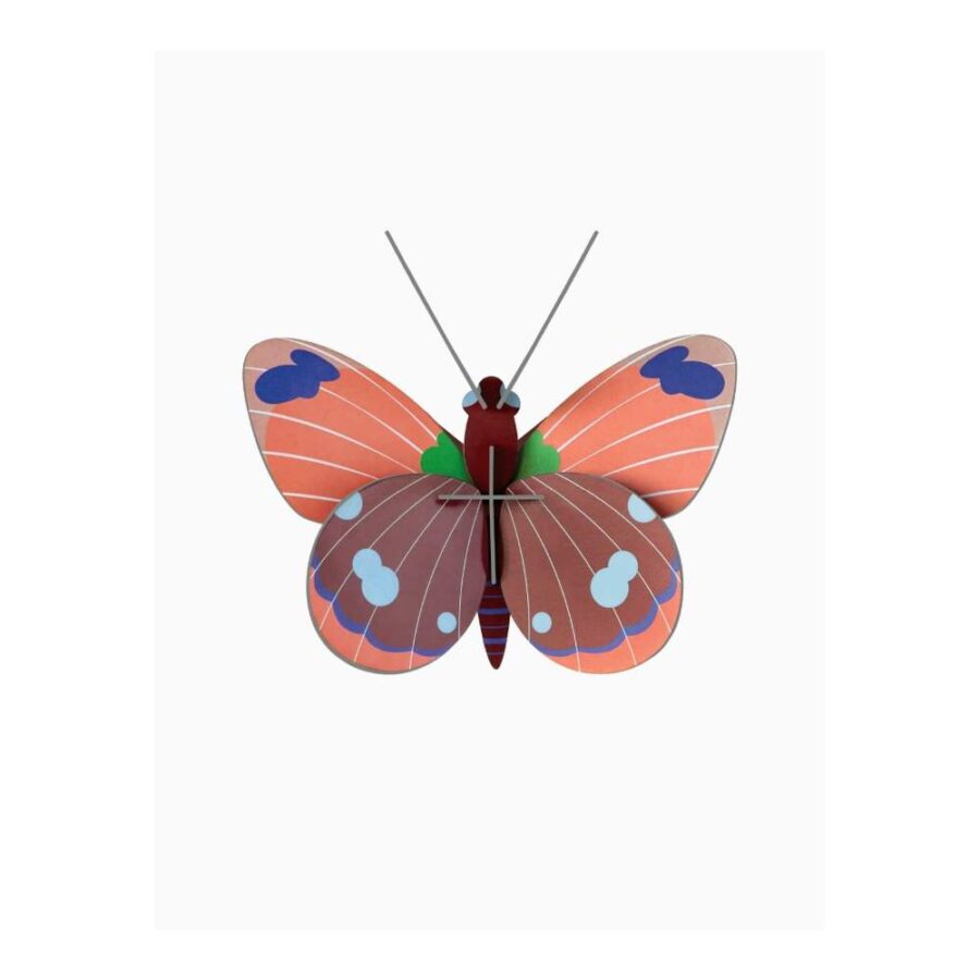 Mariposa Delias - Tamaño S