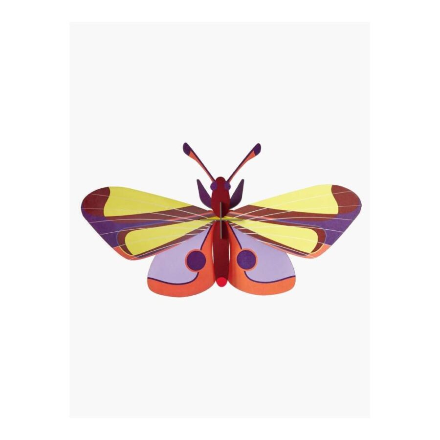 Mariposa Ojos Purpura - Tamaño L