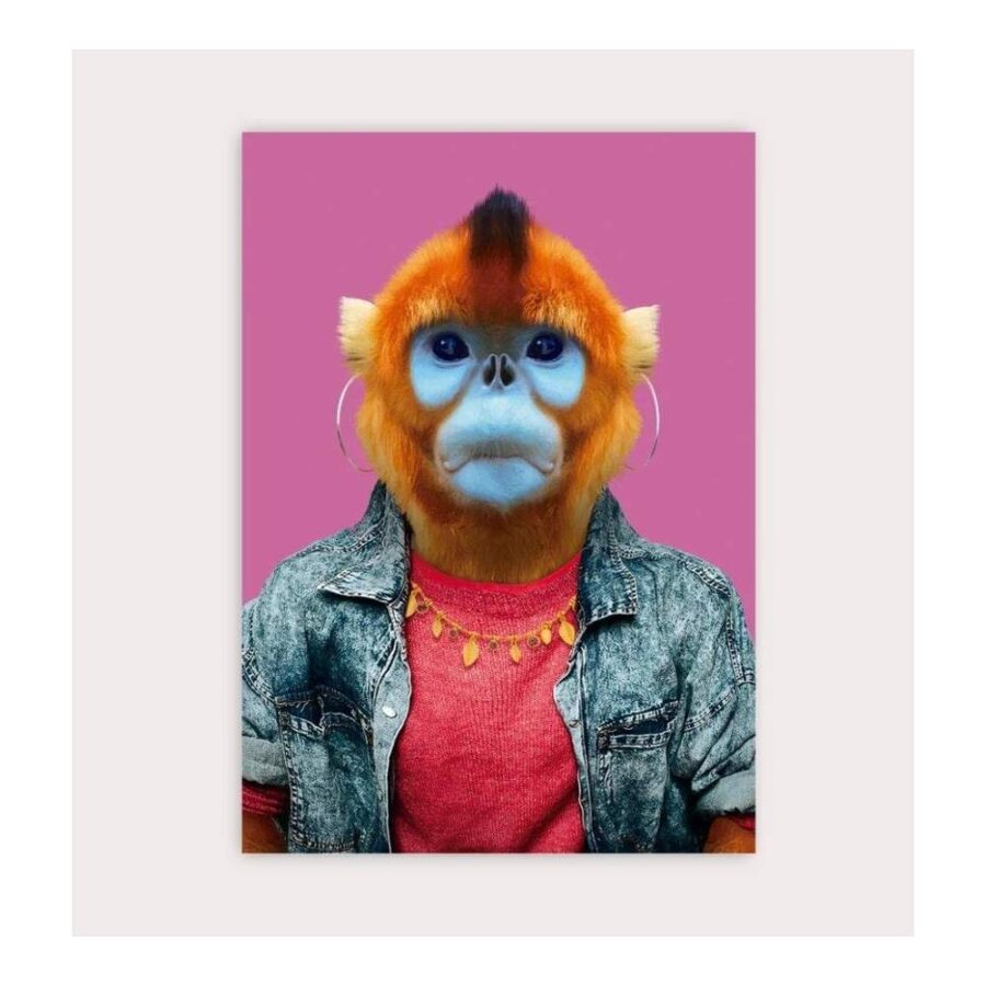 Postal Golden Snub Nosed Monkey