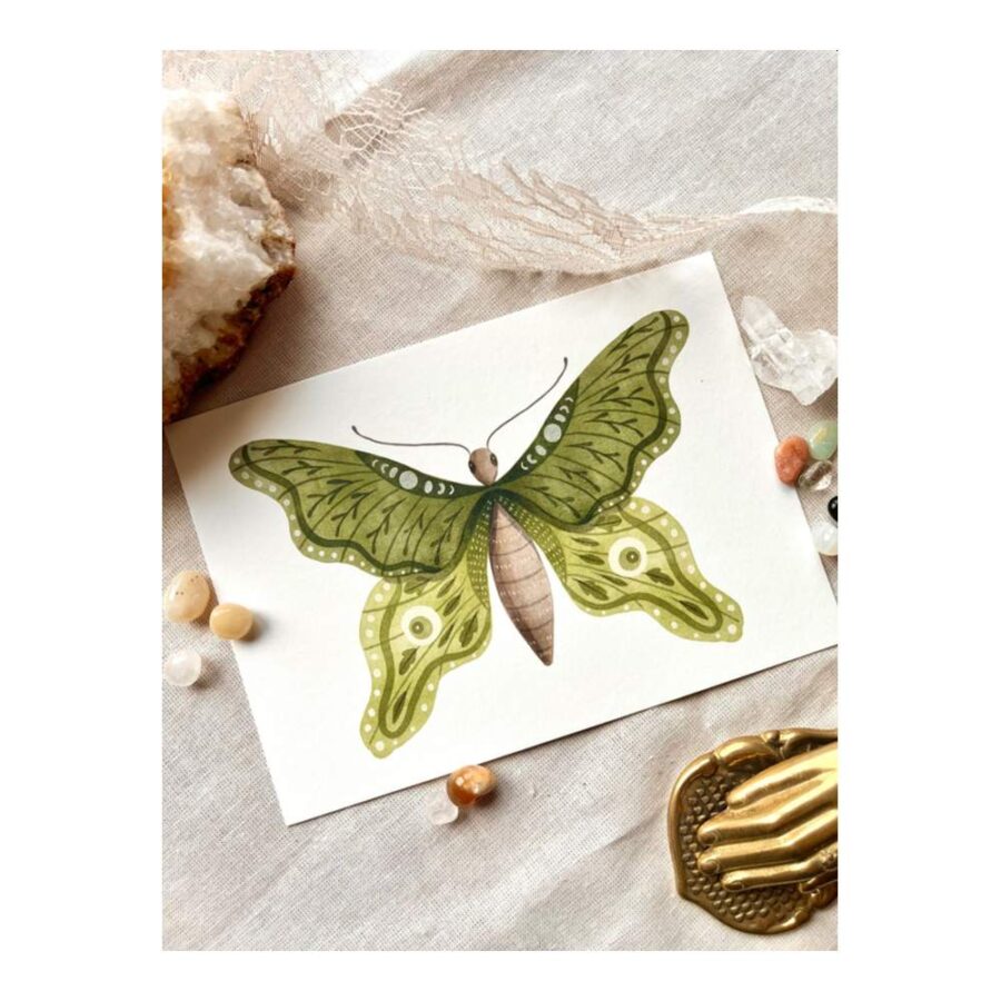 Postal Green Butterfly Nikki Dotti