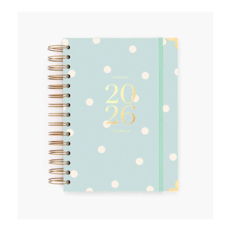 Agenda Diaria 2026 Mint Mediana