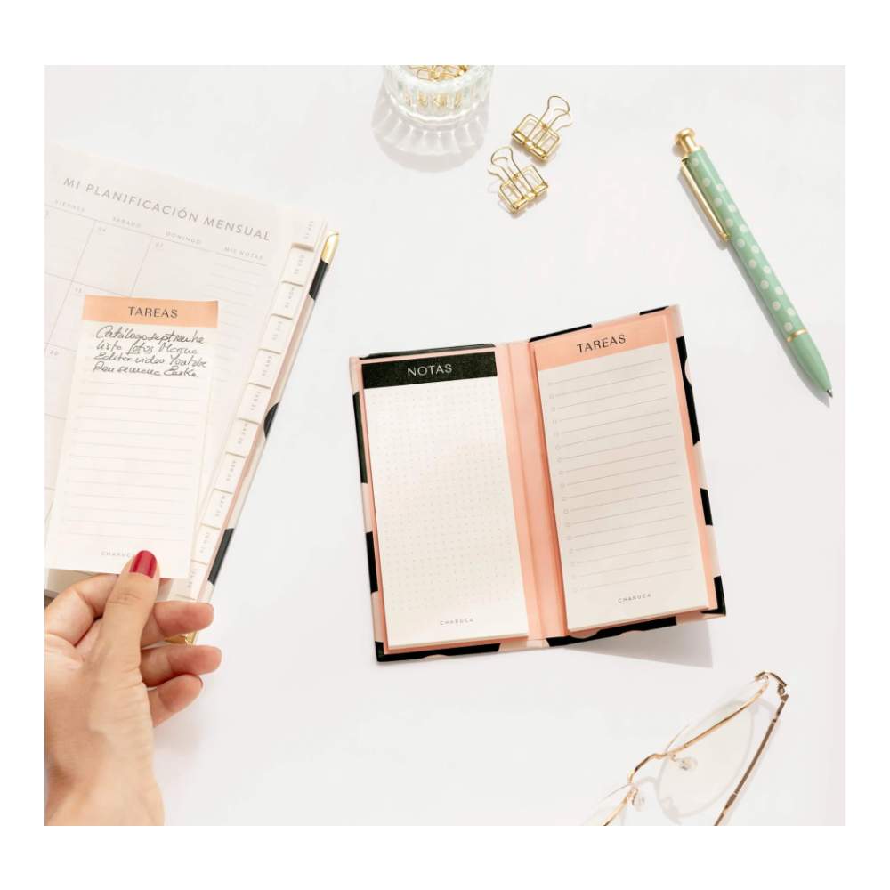 Set Charuca De Post-It Notas Y Tareas