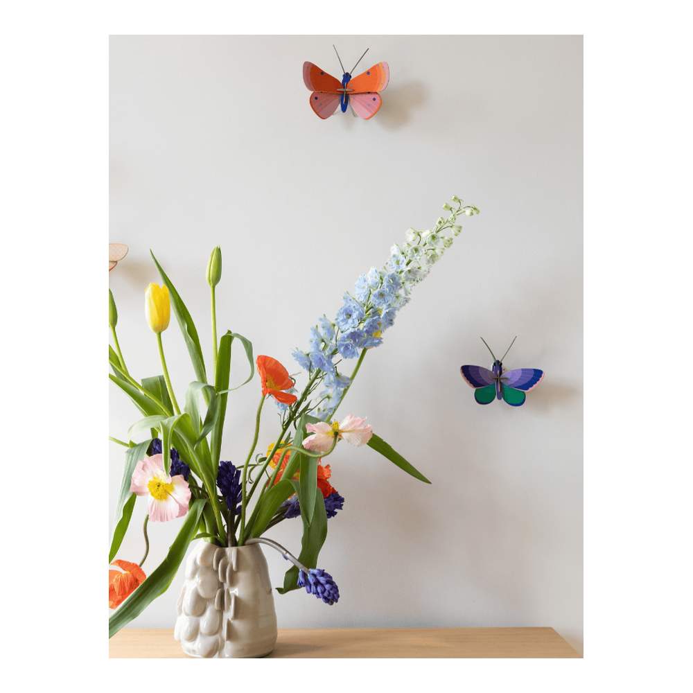 Mariposa De Cobre Moteada