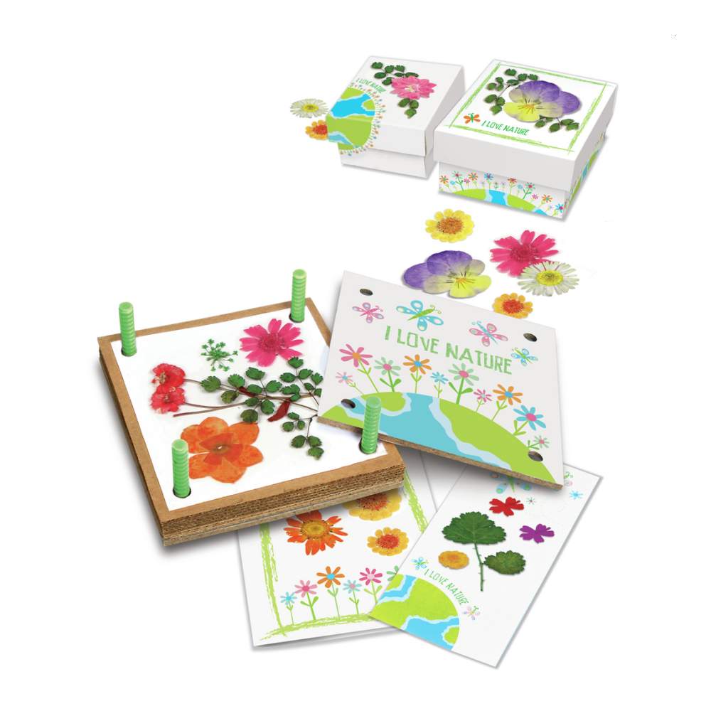 Green Creativity Taller De Flores Prensadas