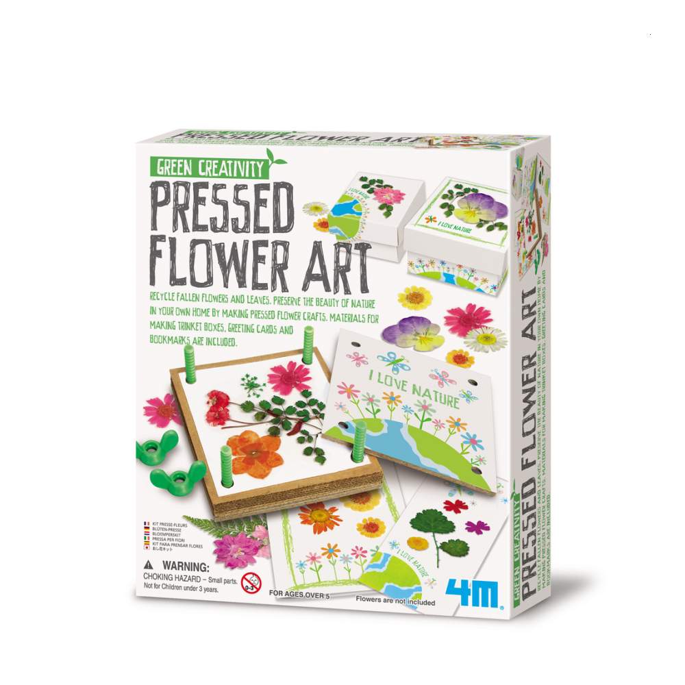 Green Creativity Taller De Flores Prensadas