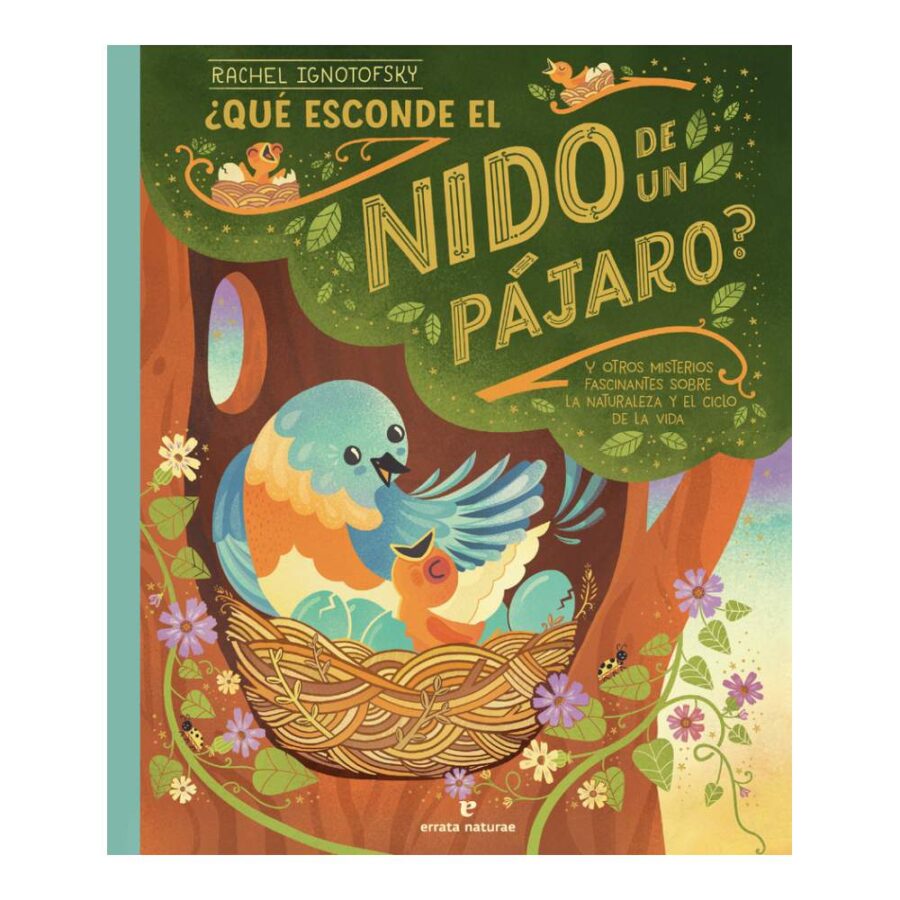 ¿Qué Esconde Un Nido De Pájaro?