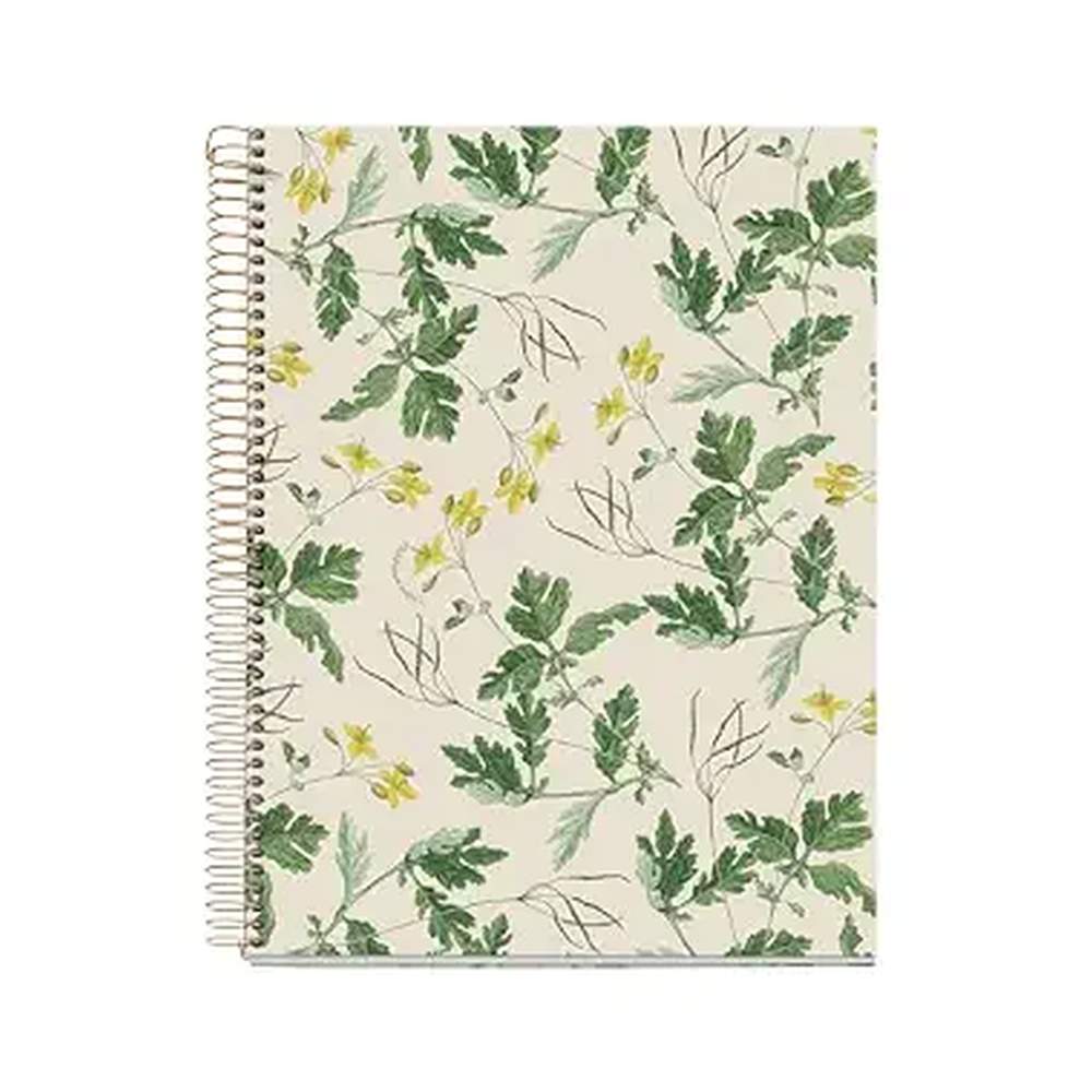Cuaderno A4 Entredos Cuadros Chelindonium Majus