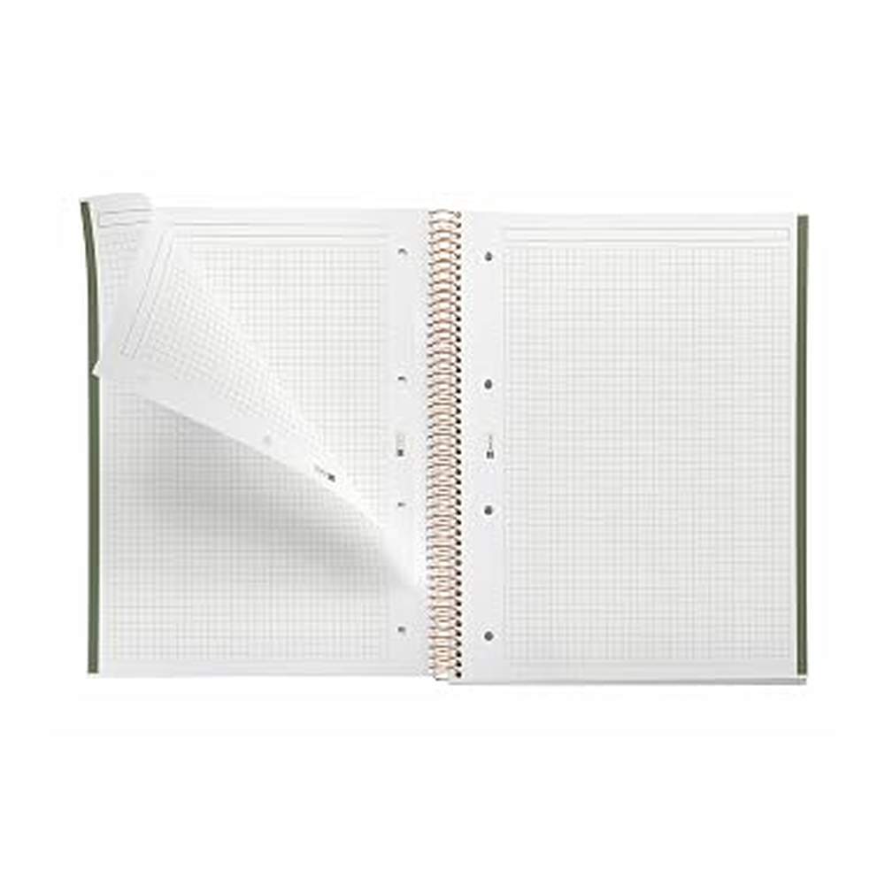 Cuaderno A4 Entredos Cuadros Chelindonium Majus