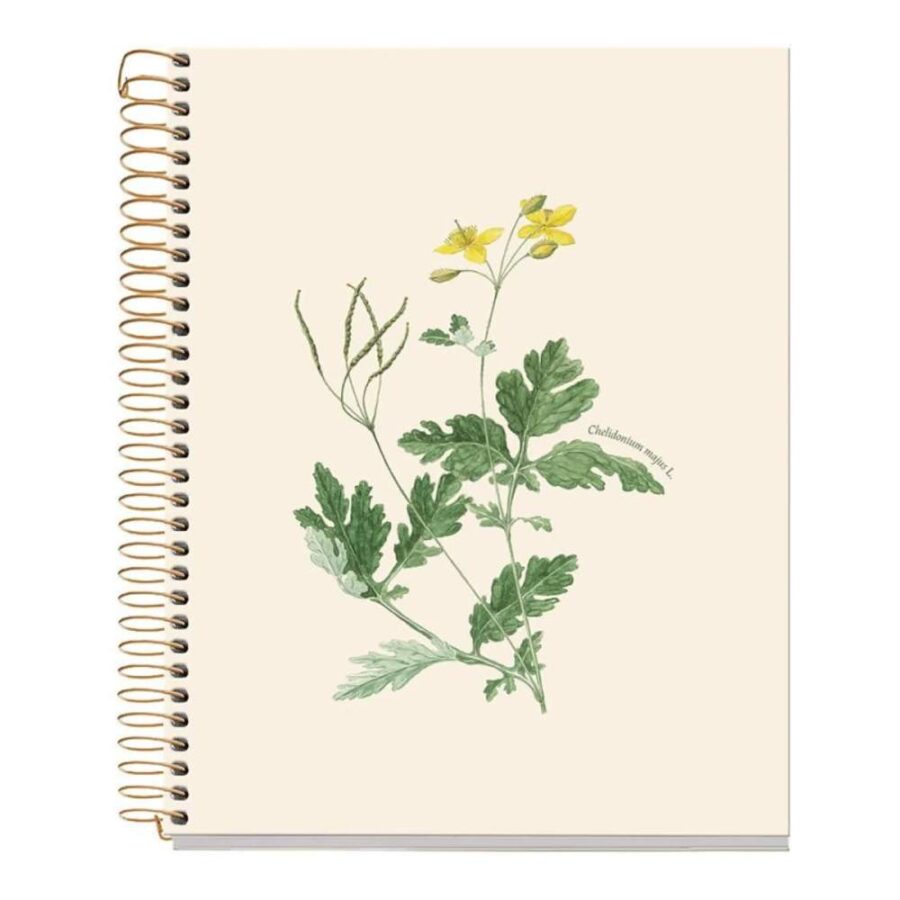 Cuaderno A5 Entredos Chelindonium
