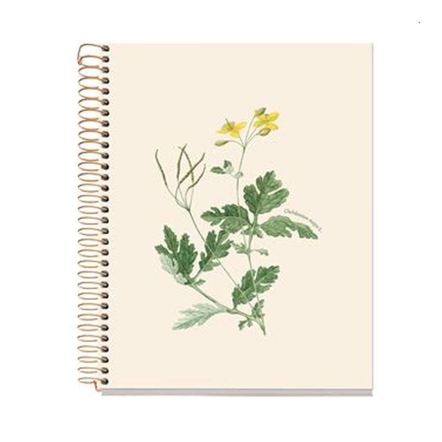 Cuaderno A5 Entredos Chelindonium Majus