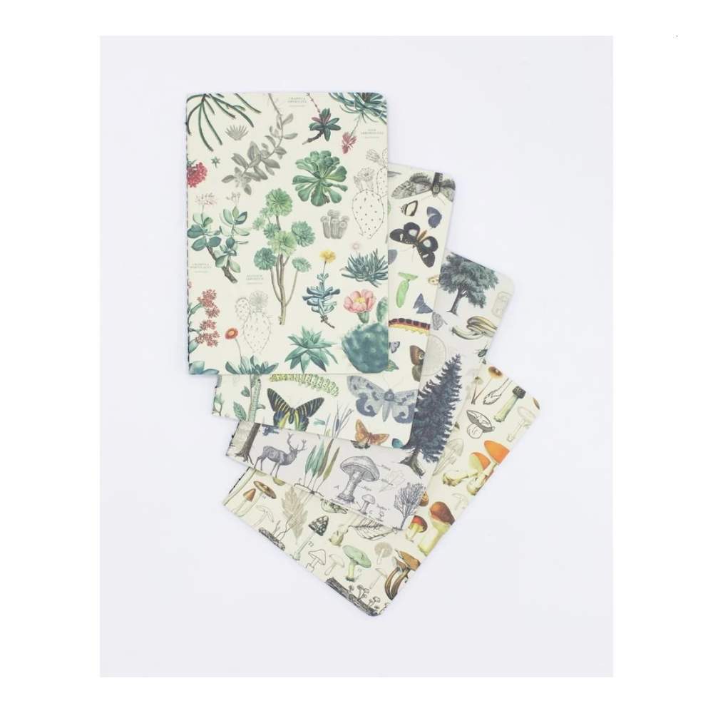 Set 4 Cuadernos De Bolsillo A6 El Bosque
