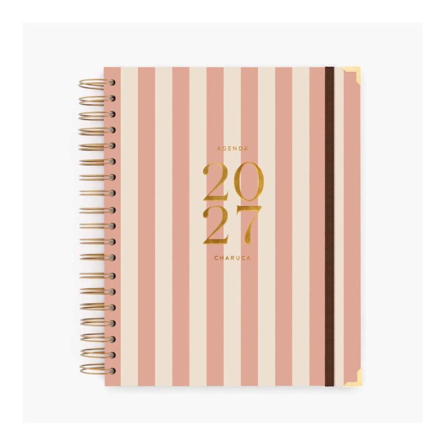 Agenda Diaria 2027. Panamera Pink. Grande