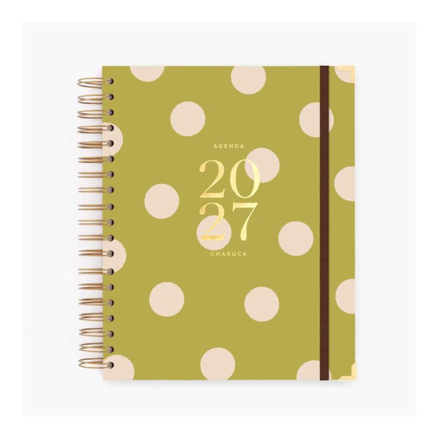 Agenda Diaria 2027. Pistacho Dream. Grande