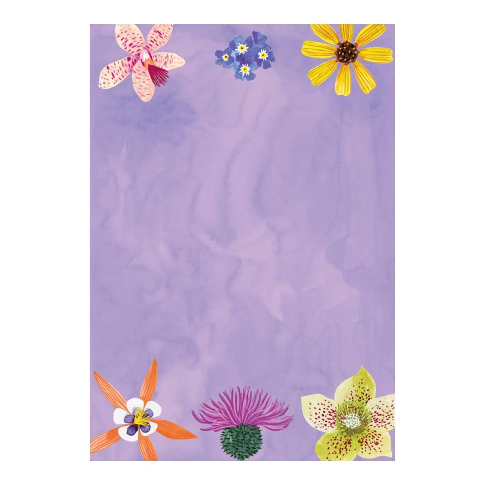 Set De Escritura Floral Supernova