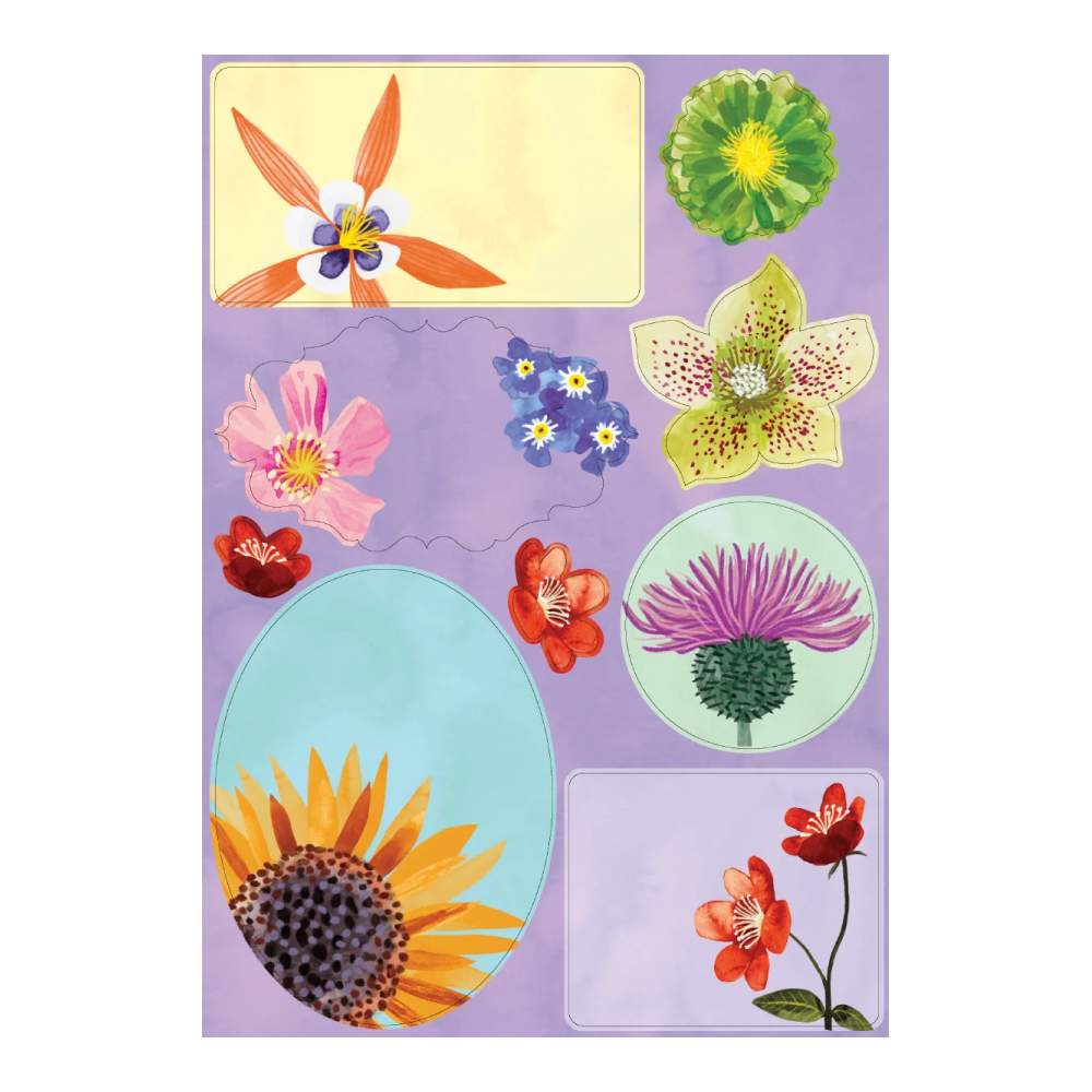 Set De Escritura Floral Supernova