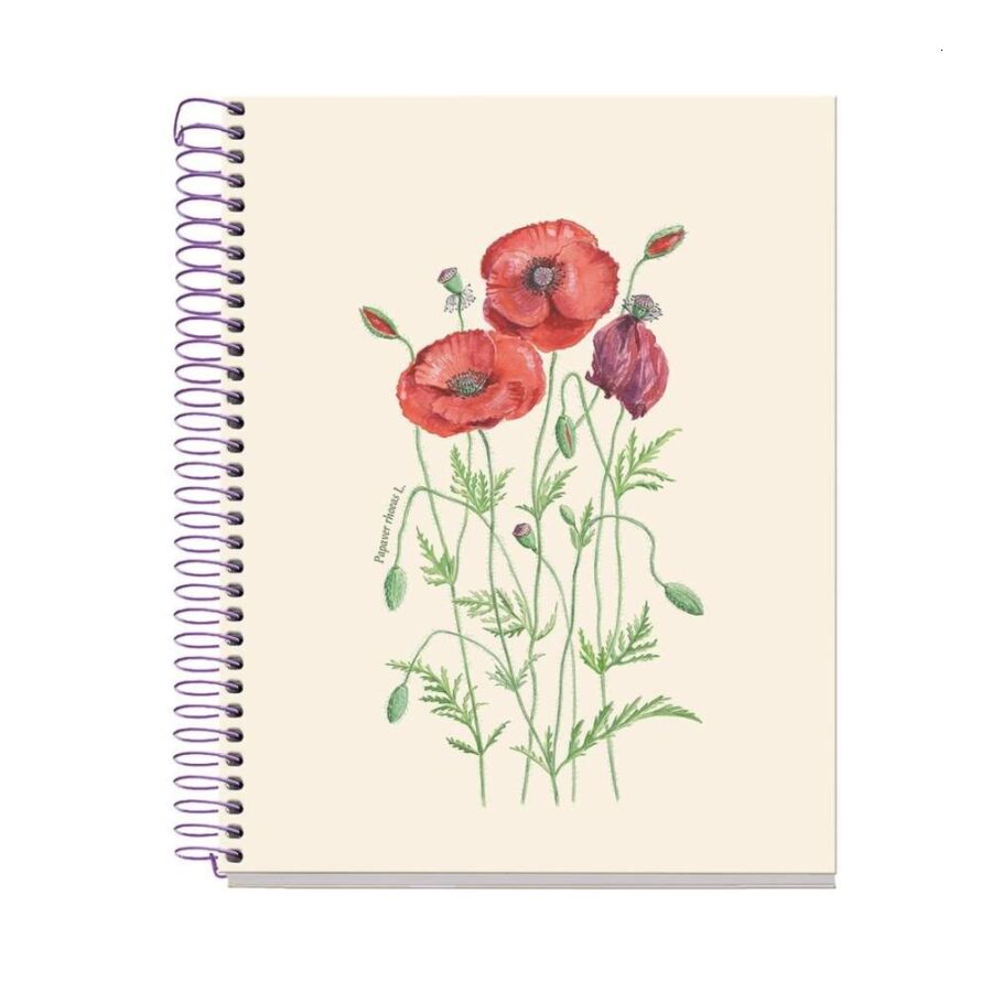 Cuaderno A5 Entredos Línea